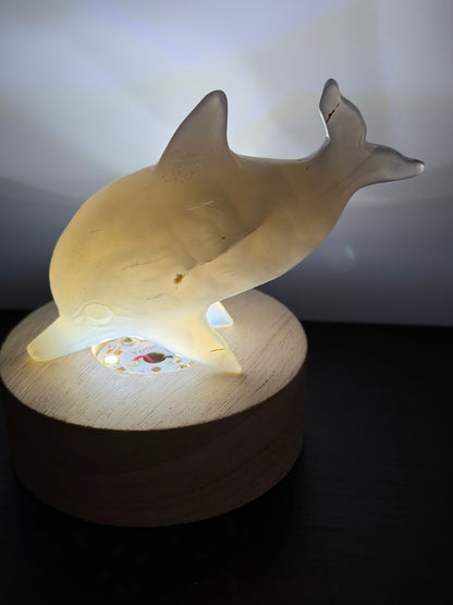 Agate Dolphin with Natural Druzy