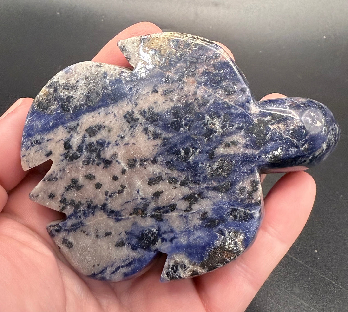 Sodalite Turtle Carving – 275g | 9.8 × 7.1cm