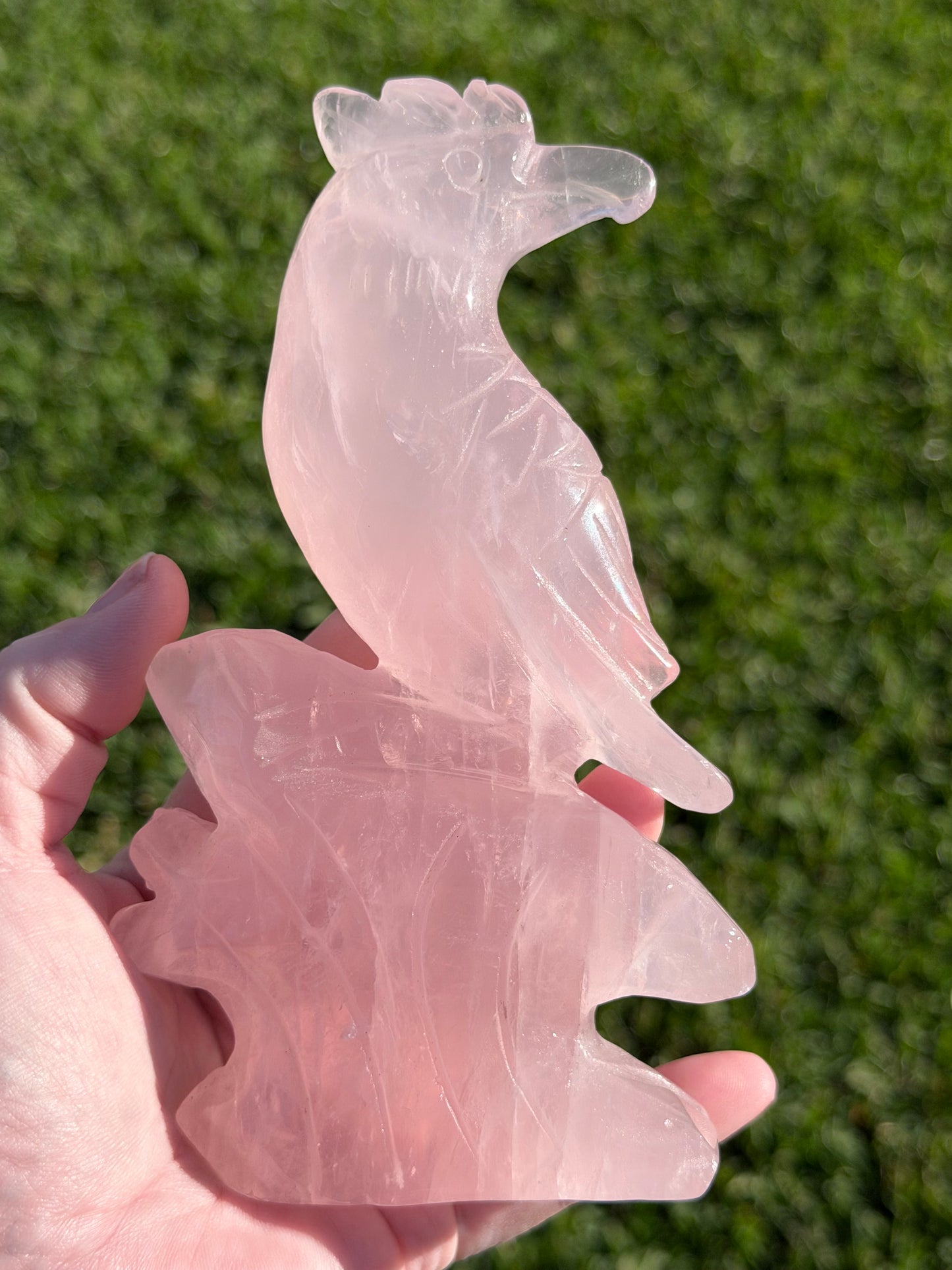 Rose Quartz Parrot Carving – 500g