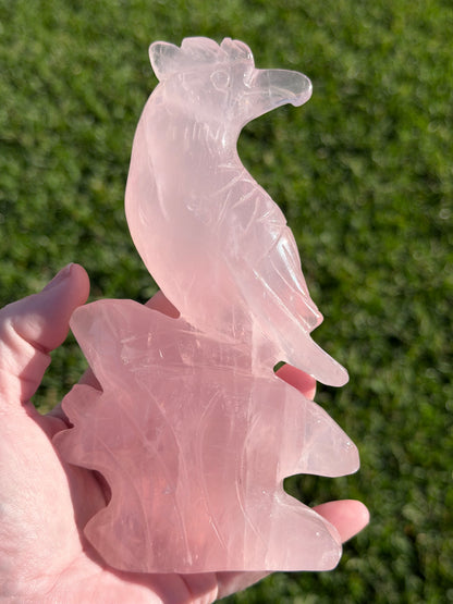 Rose Quartz Parrot Carving – 500g