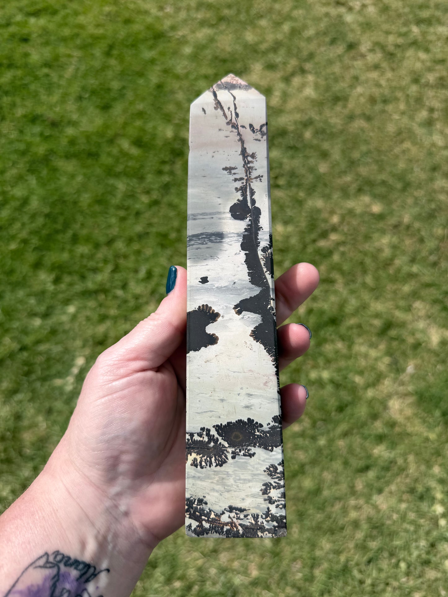 Picture Jasper with Dendritic Inclusions