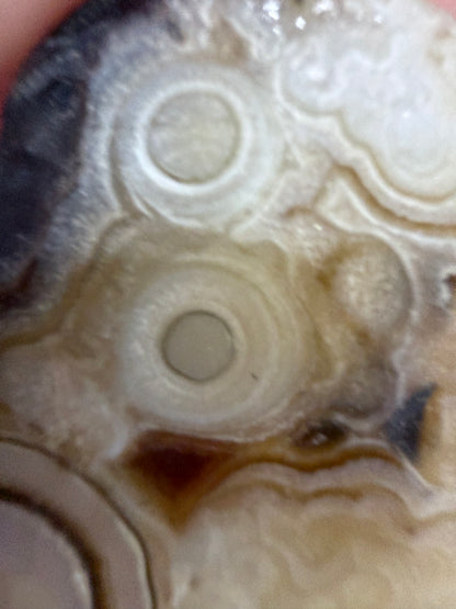 Gobi Eye Agate Pendant – Rare Desert Agate | 4cm