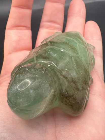 Extra Special Fluorite Turtle with Dendritic Inclusions