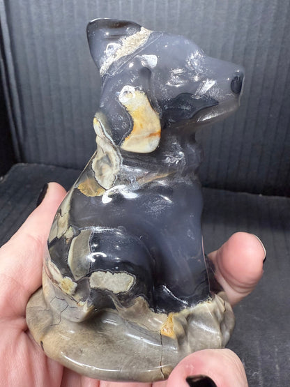 Volcano Agate Dog with Hat | UV Reactive