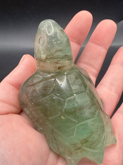 Extra Special Fluorite Turtle with Dendritic Inclusions