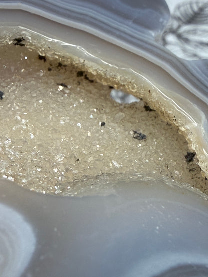 Druzy Banded Agate Cat Geode — 140g | 9.3 x 9.2cm