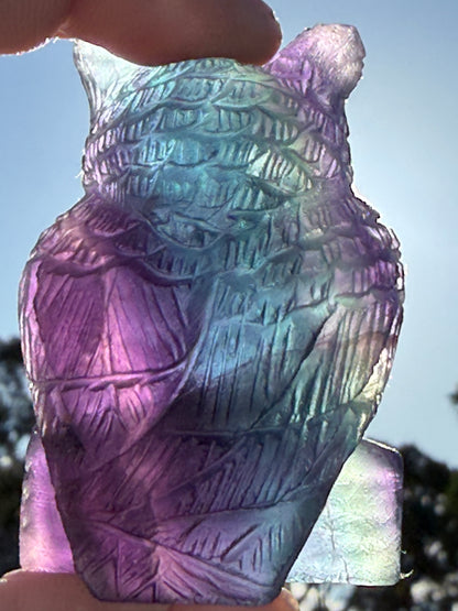 Rare Blue & Pink Rainbow Fluorite Owl Carving – 5.1cm