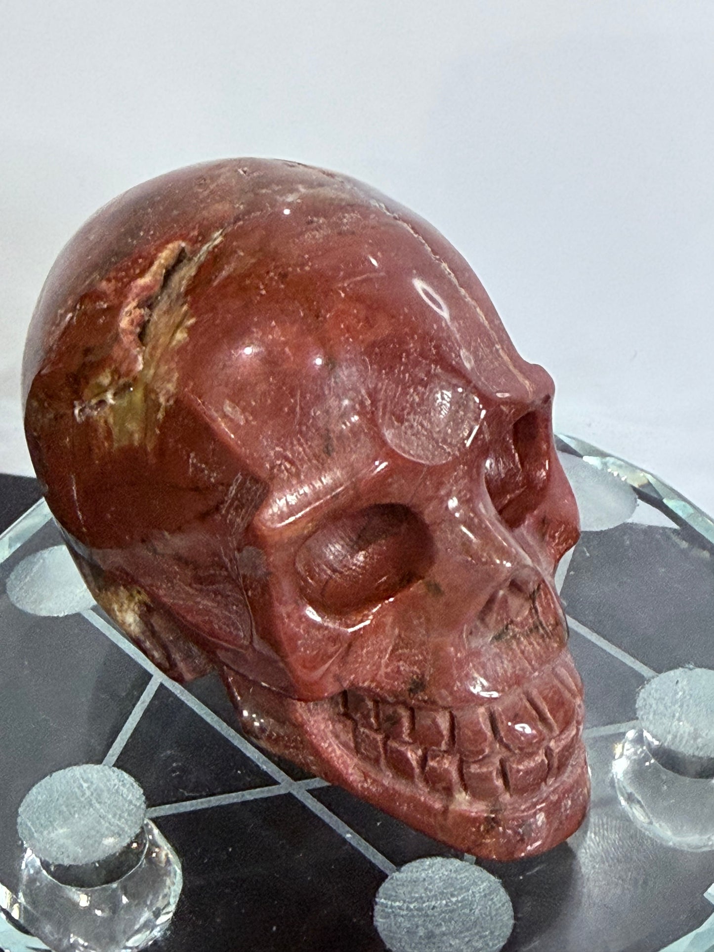 Petrified Wood Skull Crystal Carving – 364g (7 × 8 cm) A