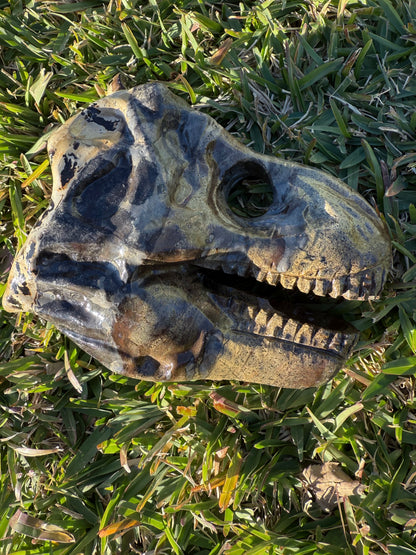 Picture Jasper Dino Skull