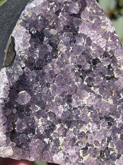 Brazilian Amethyst Druzy Geode  – 914g C