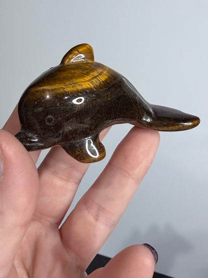 Tiger’s Eye Dolphin Carving