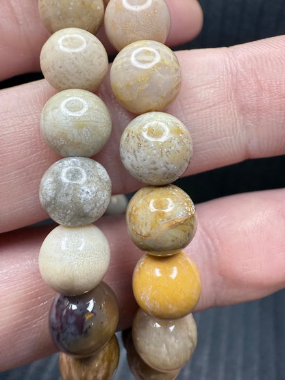 Fossil Coral Bracelet 8mm