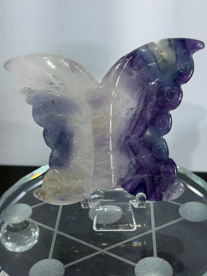 Rare White & Blue Rainbow Fluorite Butterfly Carving 7cm with Stand