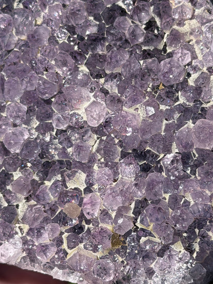 Brazilian Amethyst Druzy Geode  – 914g C