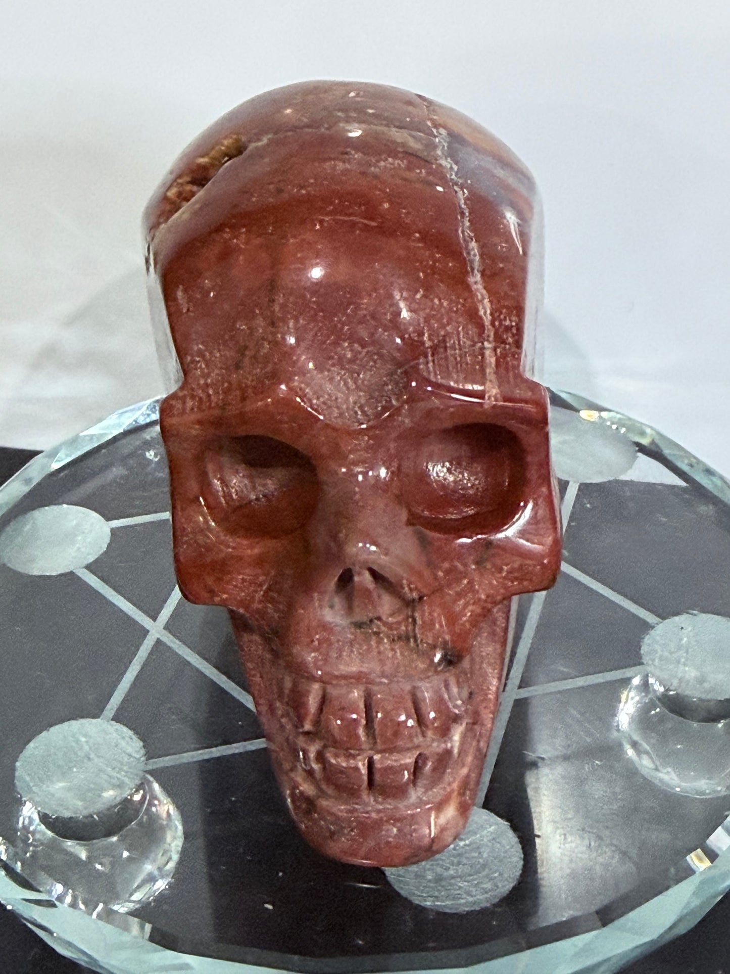 Petrified Wood Skull Crystal Carving – 364g (7 × 8 cm) A