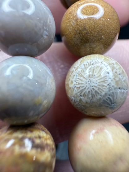 Fossil Coral Bracelet 8mm