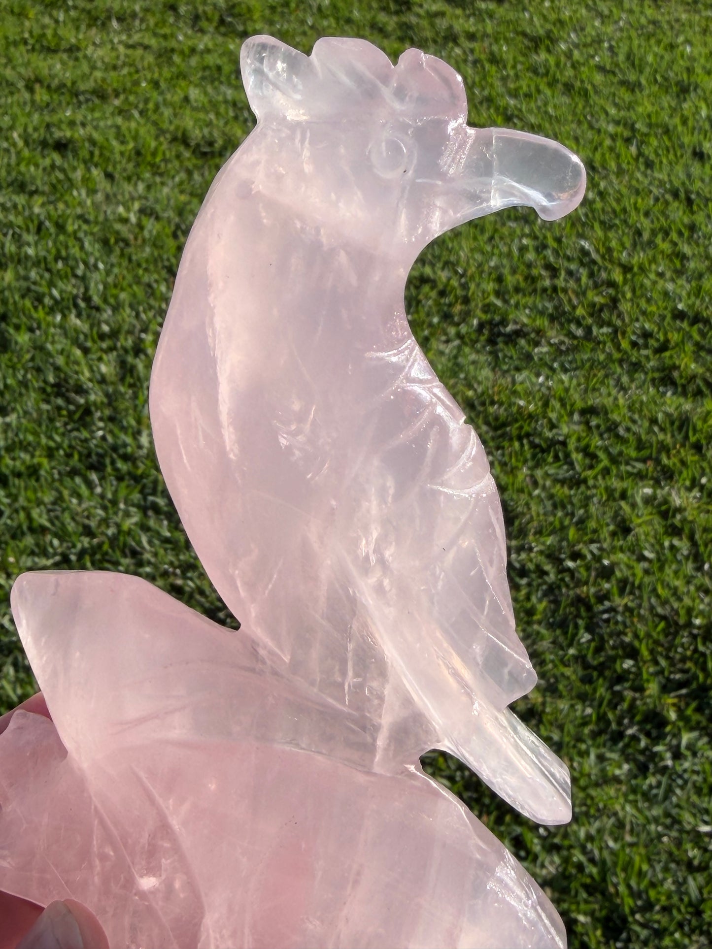 Rose Quartz Parrot Carving – 500g