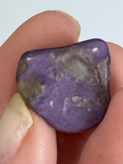 Rare Charoite Mini Tumbles