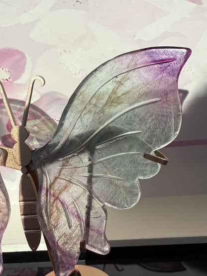 Beautiful Green and Purple Fluorite Butterfly