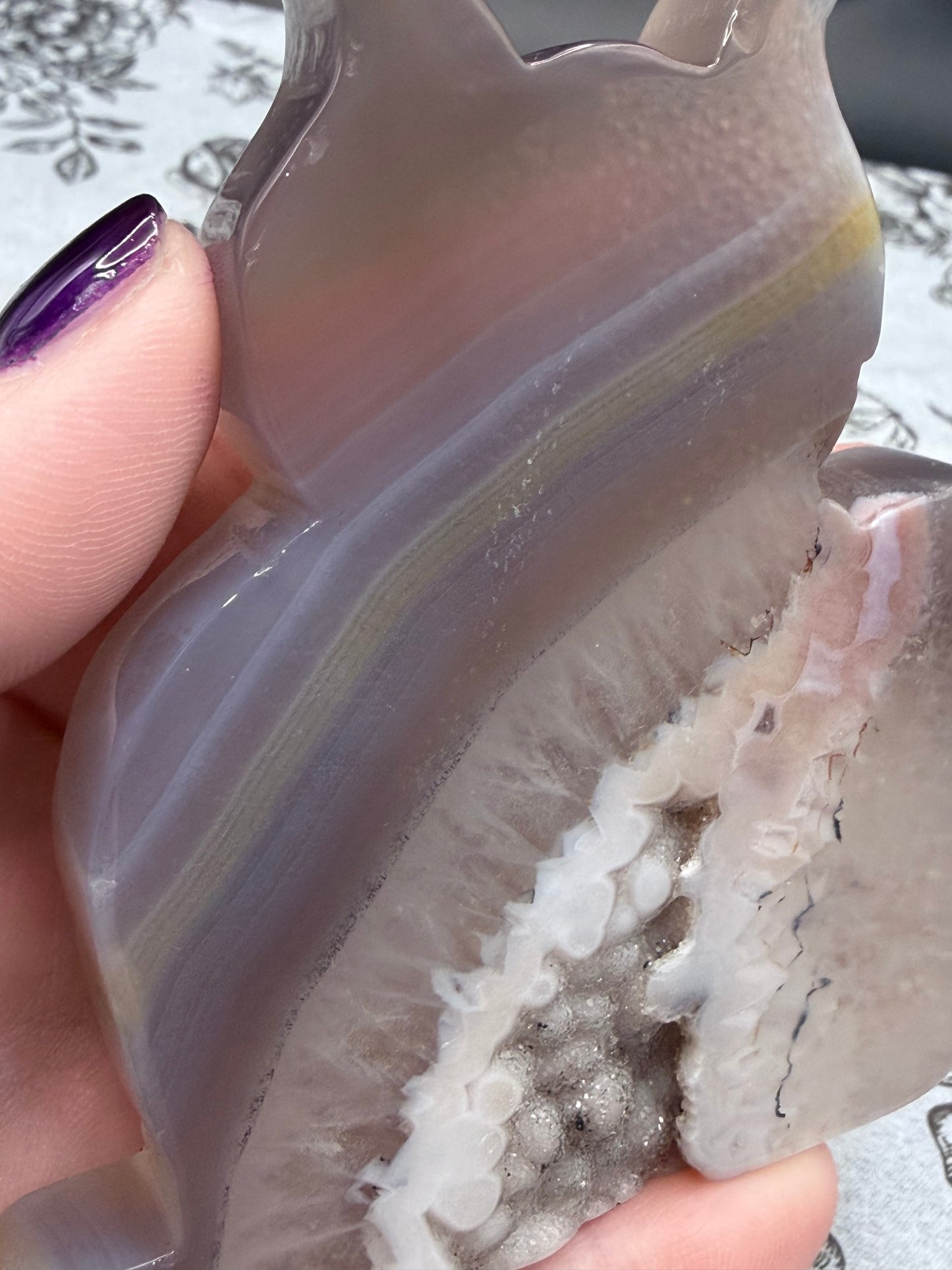 Druzy Agate Cat Geode — 156g | 9.2 x 9.1cm