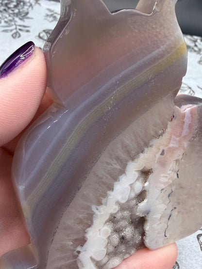 Druzy Agate Cat Geode — 156g | 9.2 x 9.1cm
