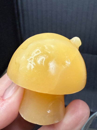 Calcite Fairy House Mushroom