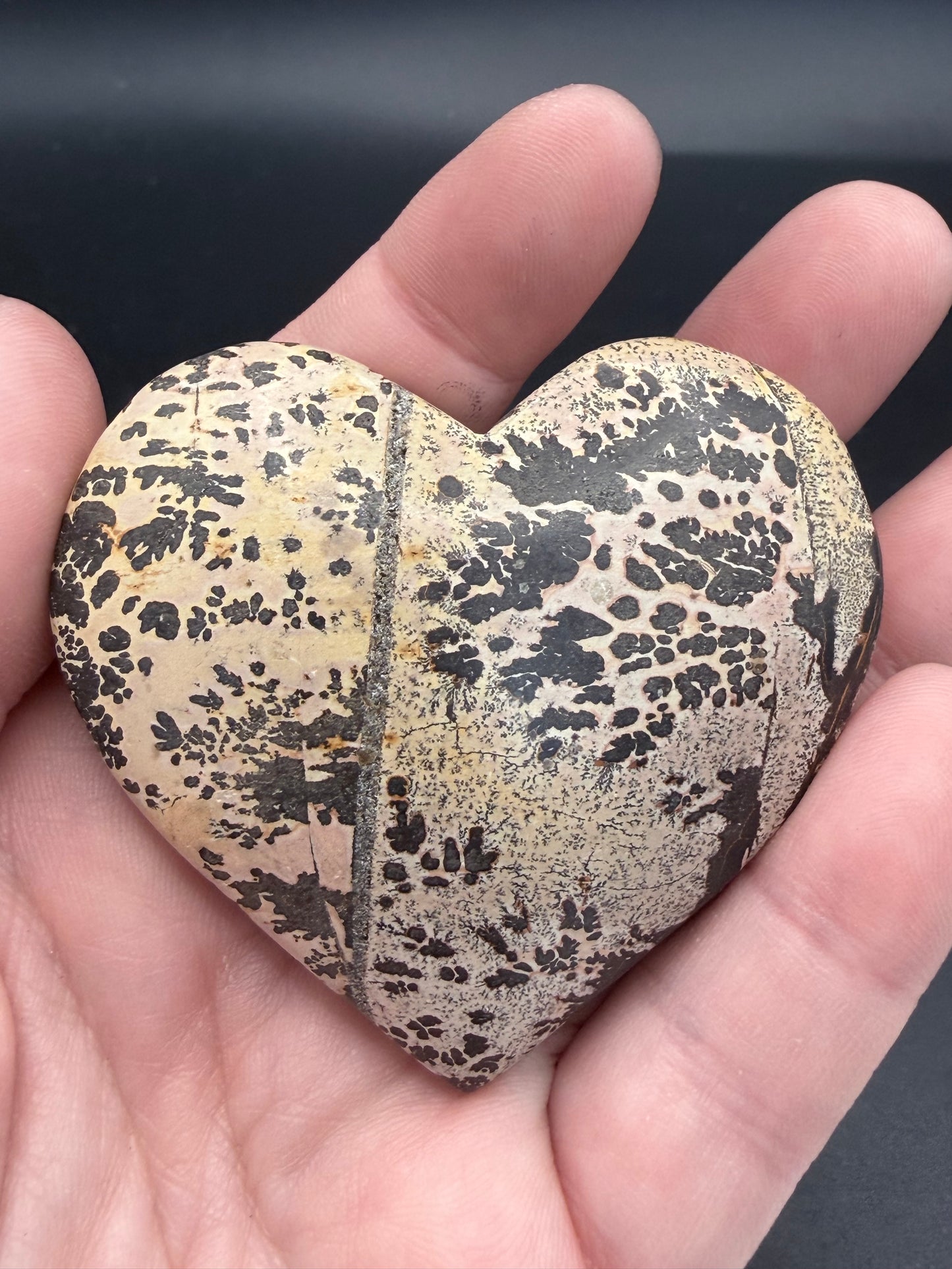 Picture Jasper with Dendritic Inclusions Heart 6.3cm