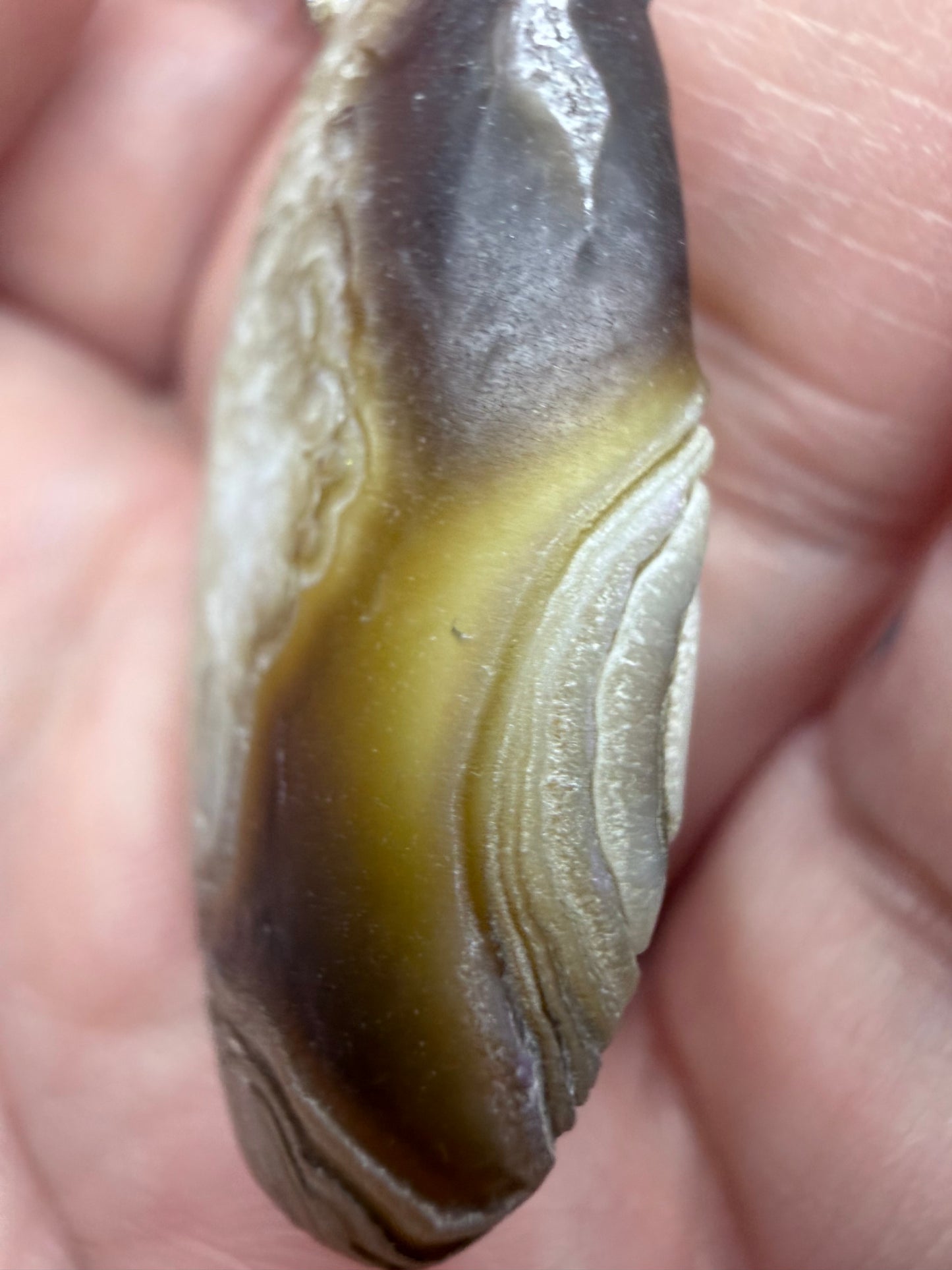 Gobi Eye Agate Pendant – Rare Desert Agate | 4cm