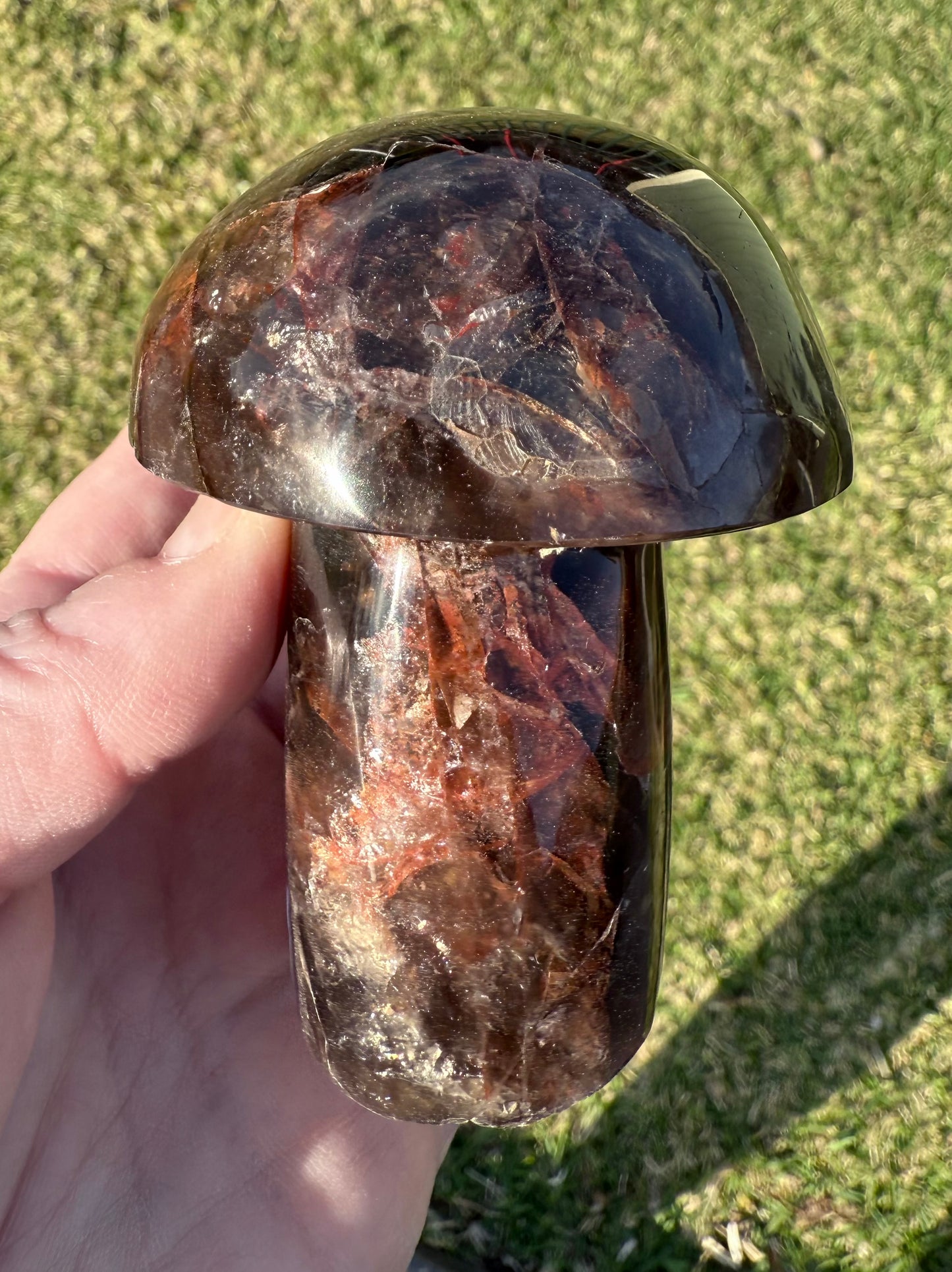 Red Fire Quartz in Smoky Quartz Mushroom