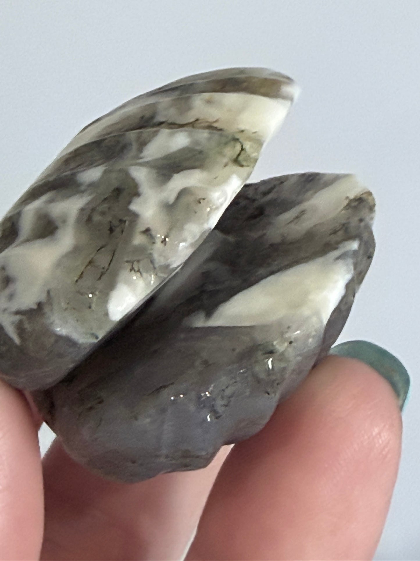 Moss Agate Clam Shell –