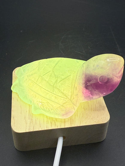 Rainbow Fluorite Turtle Carving