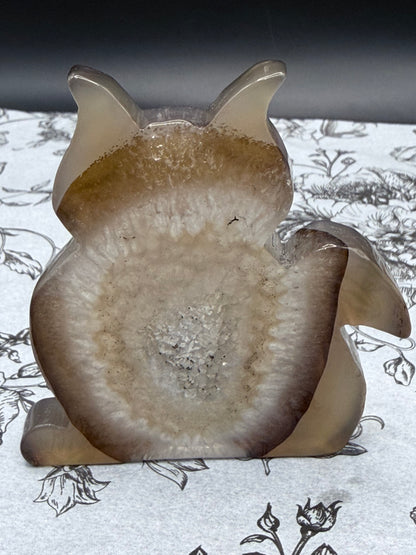 Druzy Agate Cat Geode — 160g | 9.4 x 8.1cm