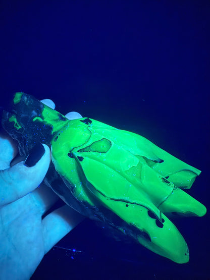 Volcano Agate Dragon Head | UV Reactive | 580g | 12.2 × 8cm