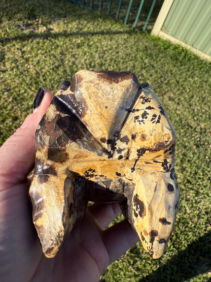 Picture Jasper Dino Skull