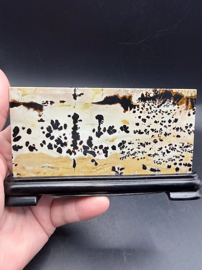 Dendritic Picture Jasper Slab on Stand