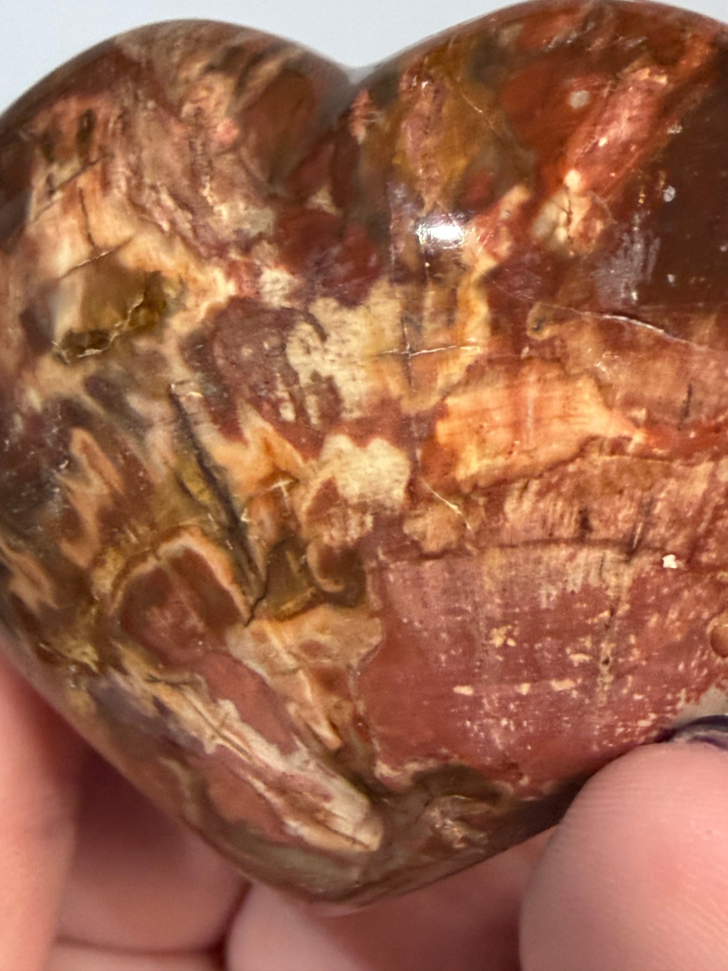 Petrified Wood Heart 🤎 A