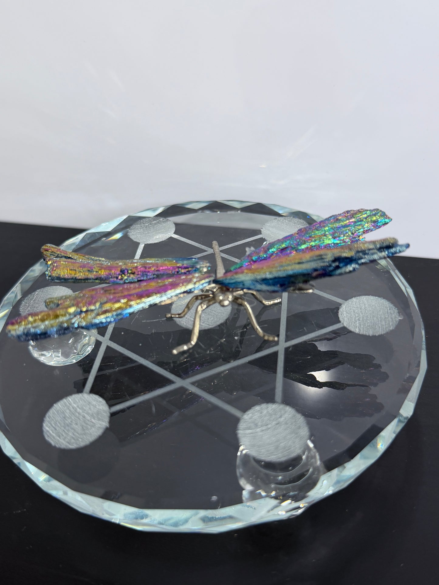 Aura Kyanite Dragonfly – 9cm