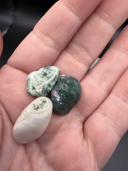 Moss Agate Tumbles - Crystal wonderland By Lisa