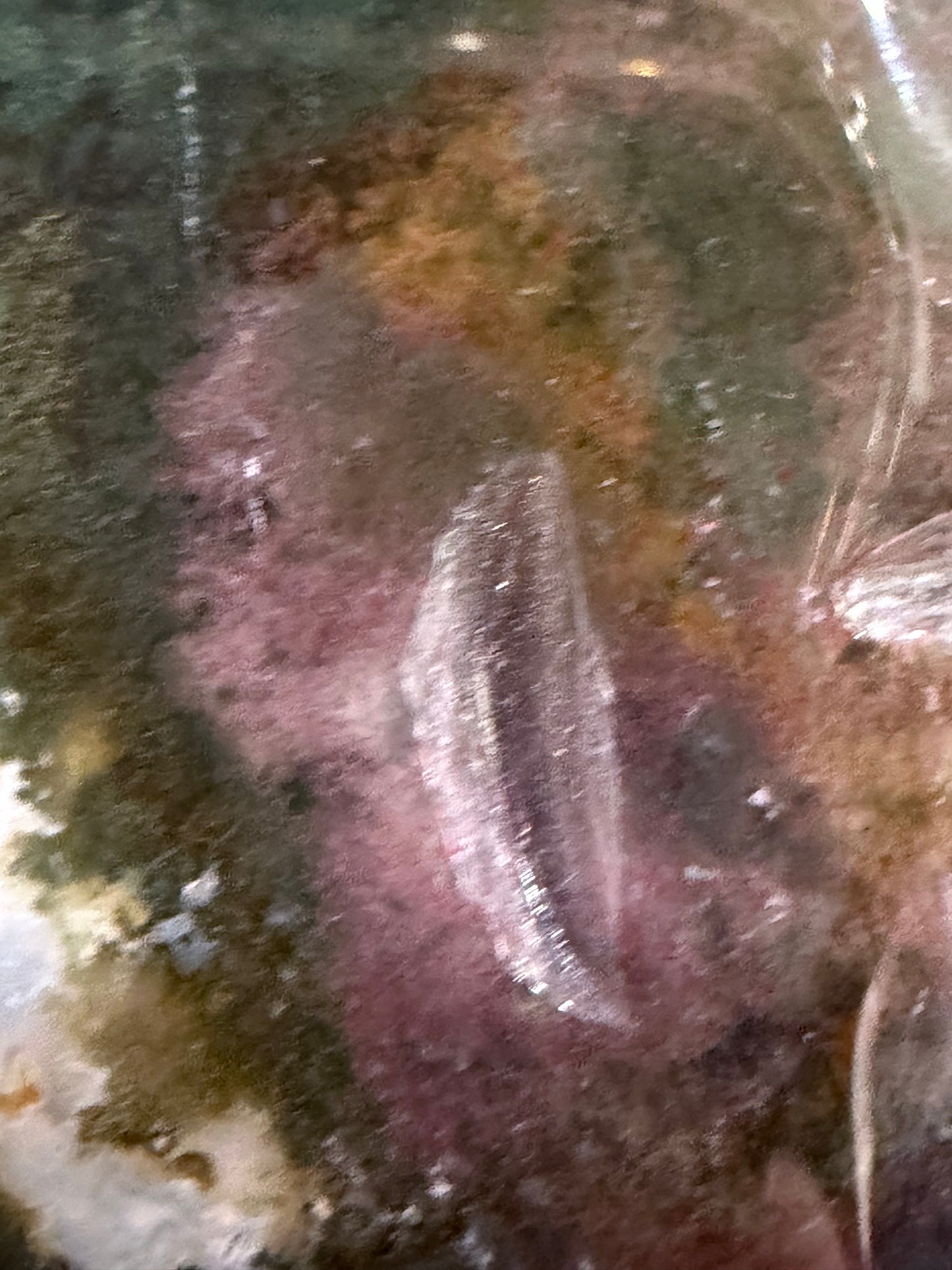 Moss Agate Moon Face Carving – 12.2cm