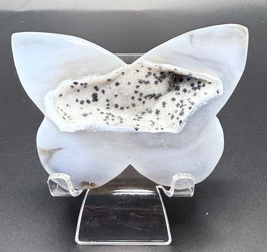 Agate Druzy Butterfly Carving