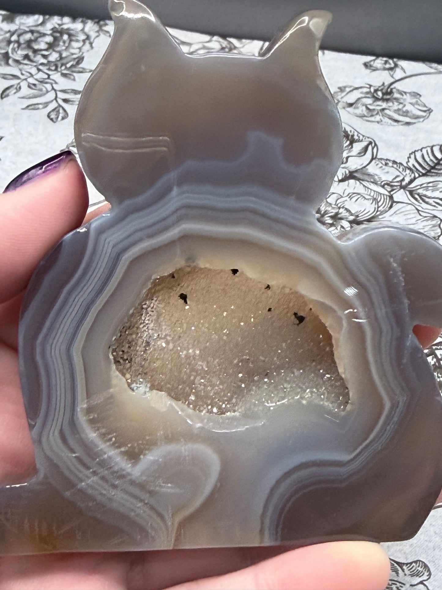 Druzy Banded Agate Cat Geode — 140g | 9.3 x 9.2cm