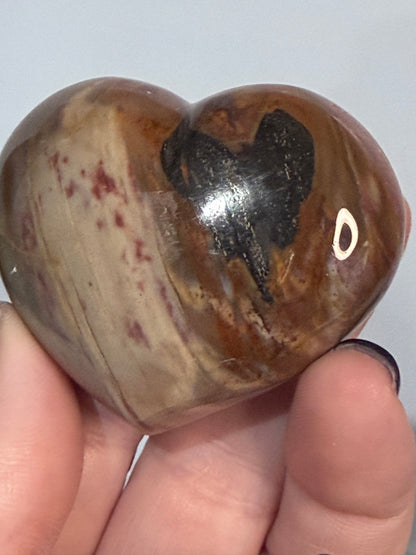 Petrified Wood Heart 🤎 B