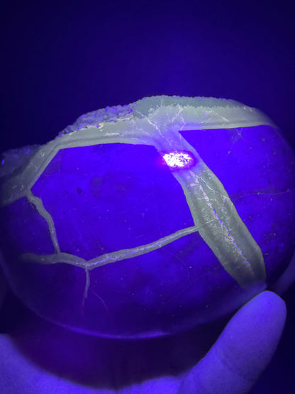 Septarian “Dino Egg” (1kg) – UV Reactive