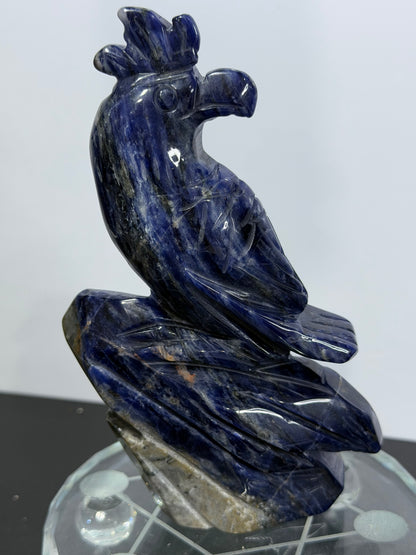 Sodalite Parrot Carving – 400g