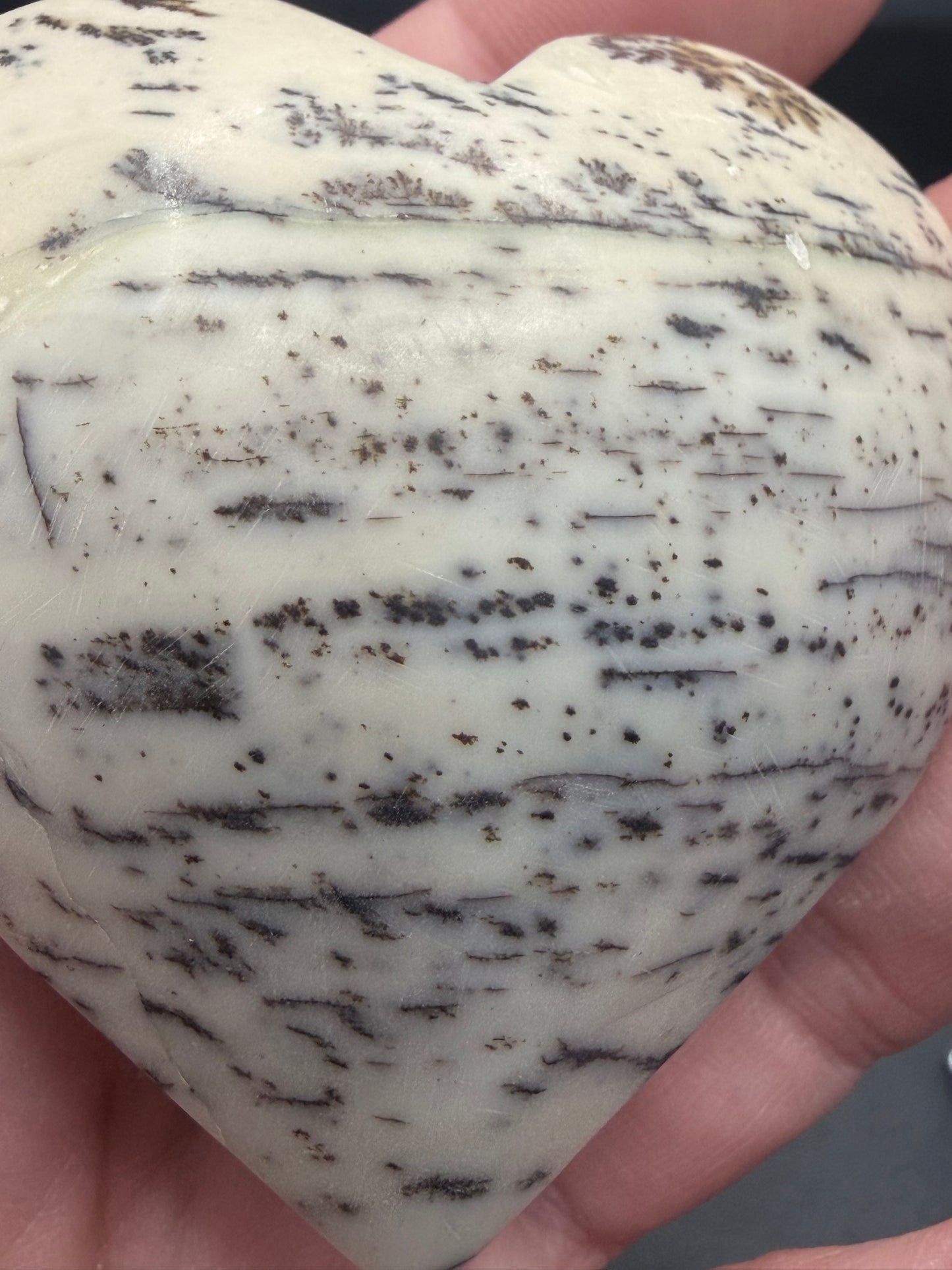 Dendritic Jasper Heart – Grounding & Growth 6cm