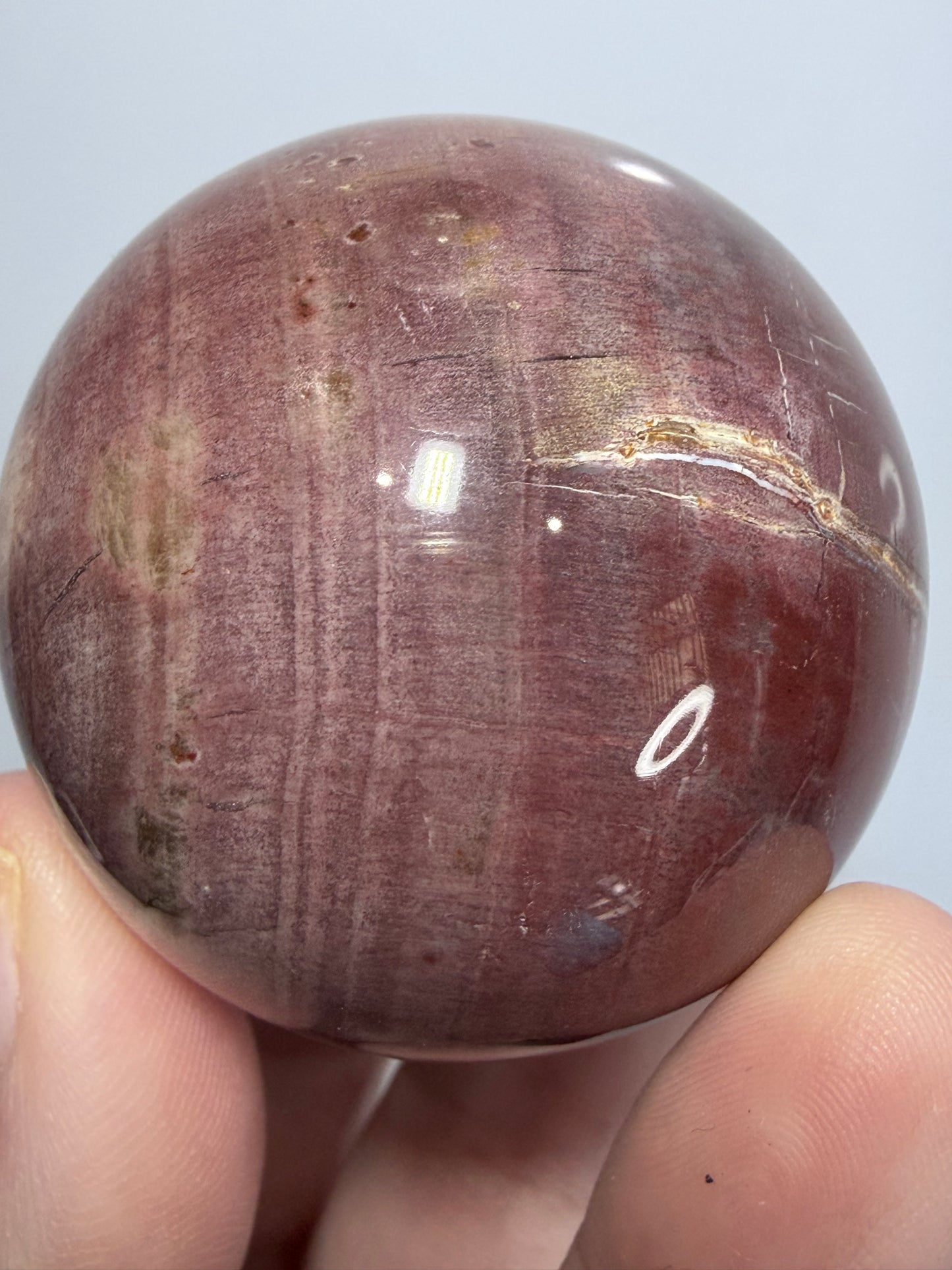 Pink Petrified Wood Sphere – 180g | 5cm