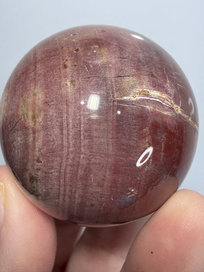 Pink Petrified Wood Sphere – 180g | 5cm