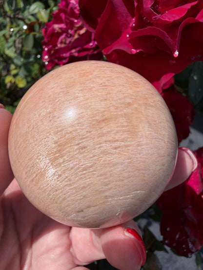 Peach Moonstone Sphere – 5.6cm | 281g