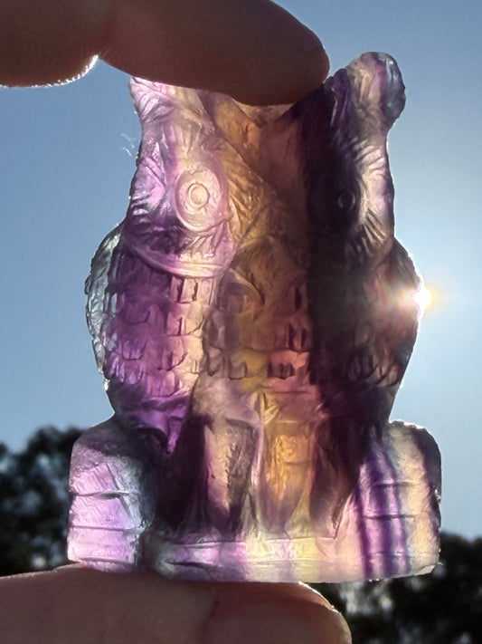 Sunset Rainbow Fluorite Owl Carving – 5.1cm