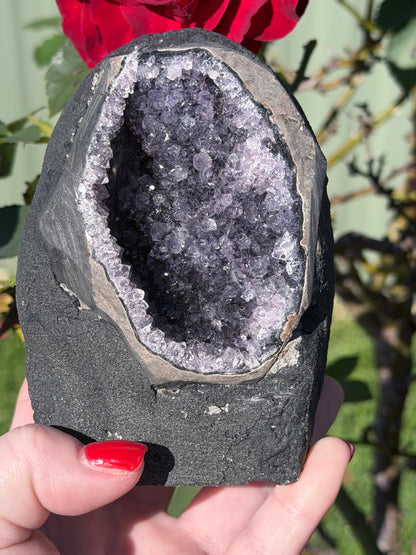 Brazilian Amethyst Druzy Cave – 984g B